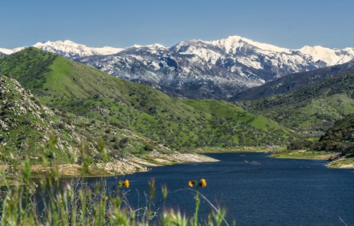 Sequoia National Park Full Day Tour | Sequoia Sightseeing Tours